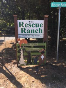 Rescue Ranch Rescue Ranch